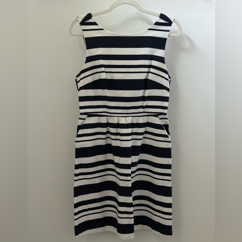 The Limited Dress